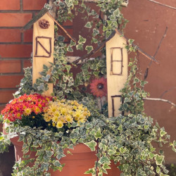 idosek vilagnapja a fenyes hazban2025