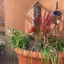 idosek vilagnapja a fenyes hazban2025