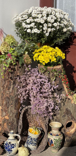 idosek vilagnapja a fenyes hazban2025