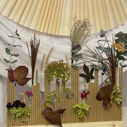 idosek vilagnapja a fenyes hazban2025