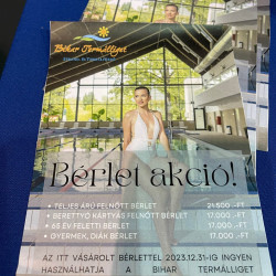 25 bihari szamado napok164