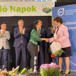 25 bihari szamado napok60