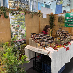 25 bihari szamado napok90