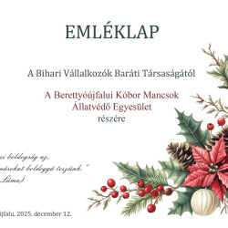 adomany a bihari vallalkozoktol07