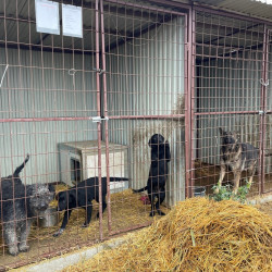 adomany a bihari vallalkozoktol10