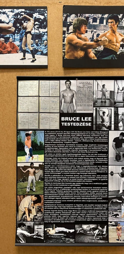 bruce lee rajzpalyazat54