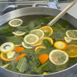 egeszsegnap az idosek otthonaban07