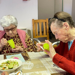 egeszsegnap az idosek otthonaban73