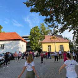 fizioterapia vilagnapja 2025