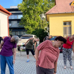 fizioterapia vilagnapja 2025