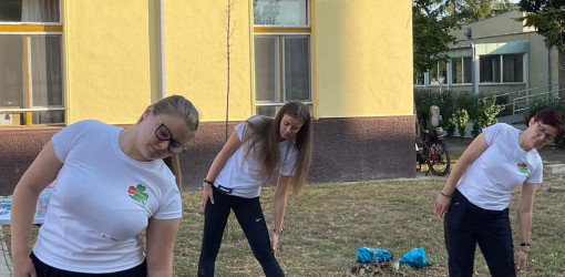 fizioterapia vilagnapja 2025