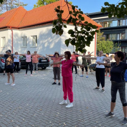 fizioterapia vilagnapja 2025