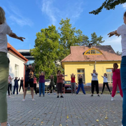 fizioterapia vilagnapja 2025