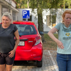 fizioterapia vilagnapja 2025