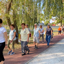 fizioterapia vilagnapja 2025