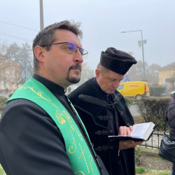 lehullottak a falevelek02