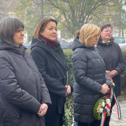 lehullottak a falevelek05