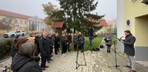 lehullottak a falevelek06