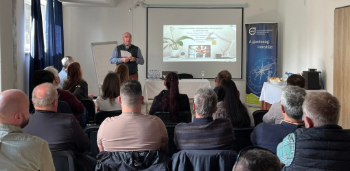 Hatékonyság, siker és egészség