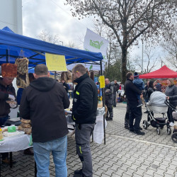 ujra tama termeloi vasar