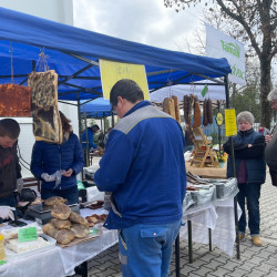 ujra tama termeloi vasar