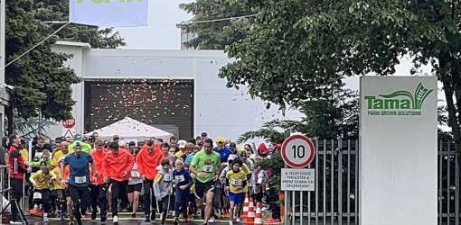 iii. tama varosnapi futas024