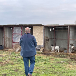 karacsonyi adomany a bihari vallalkozoktol72