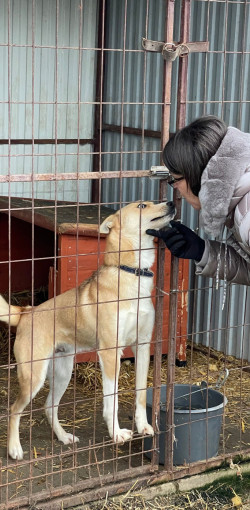 karacsonyi adomany a bihari vallalkozoktol74