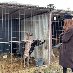 karacsonyi adomany a bihari vallalkozoktol77