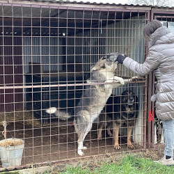 karacsonyi adomany a bihari vallalkozoktol81