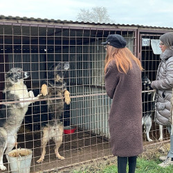 karacsonyi adomany a bihari vallalkozoktol82