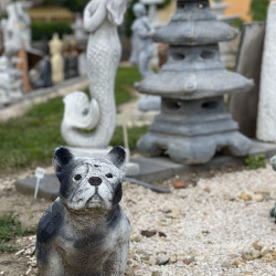 mindent is kereskedes berettyoujfaluban65