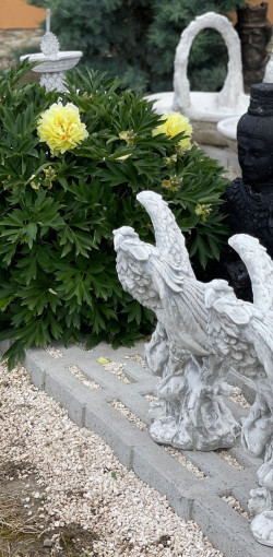 mindent is kereskedes berettyoujfaluban84