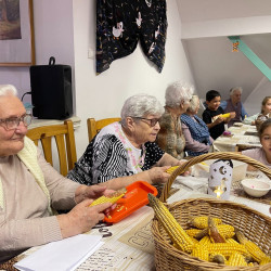 ludas nap az idosek otthonaban25