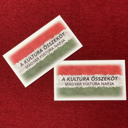 a homaly banda koncertje01