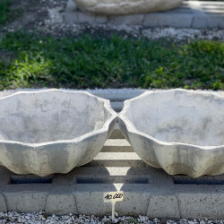 mindent is kereskedes56