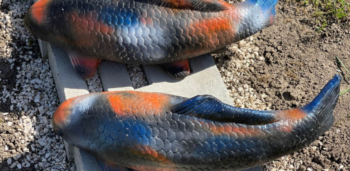 mindent is kereskedes63