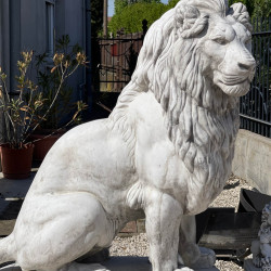 mindent is kereskedes85