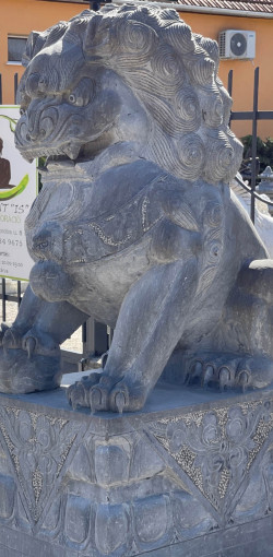 mindent is kereskedes93