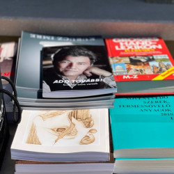 nyugdijas talakozo a bihar termalligetben11