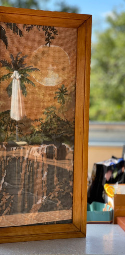 nyugdijas talakozo a bihar termalligetben13