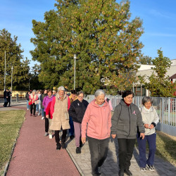 rozsaszin botorkalas14