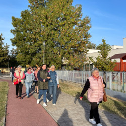 rozsaszin botorkalas16