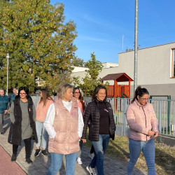 rozsaszin botorkalas18