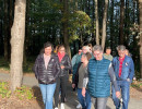 rozsaszin botorkalas48