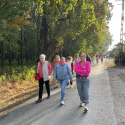 rozsaszin botorkalas49