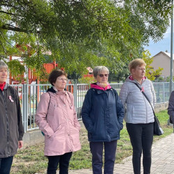 rozsaszin seta a mellrak ellen16