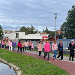 rozsaszin seta a mellrak ellen20