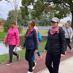 rozsaszin seta a mellrak ellen22