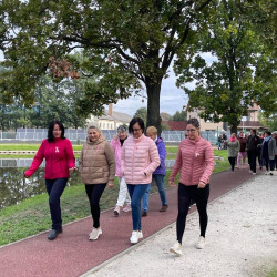 rozsaszin seta a mellrak ellen24